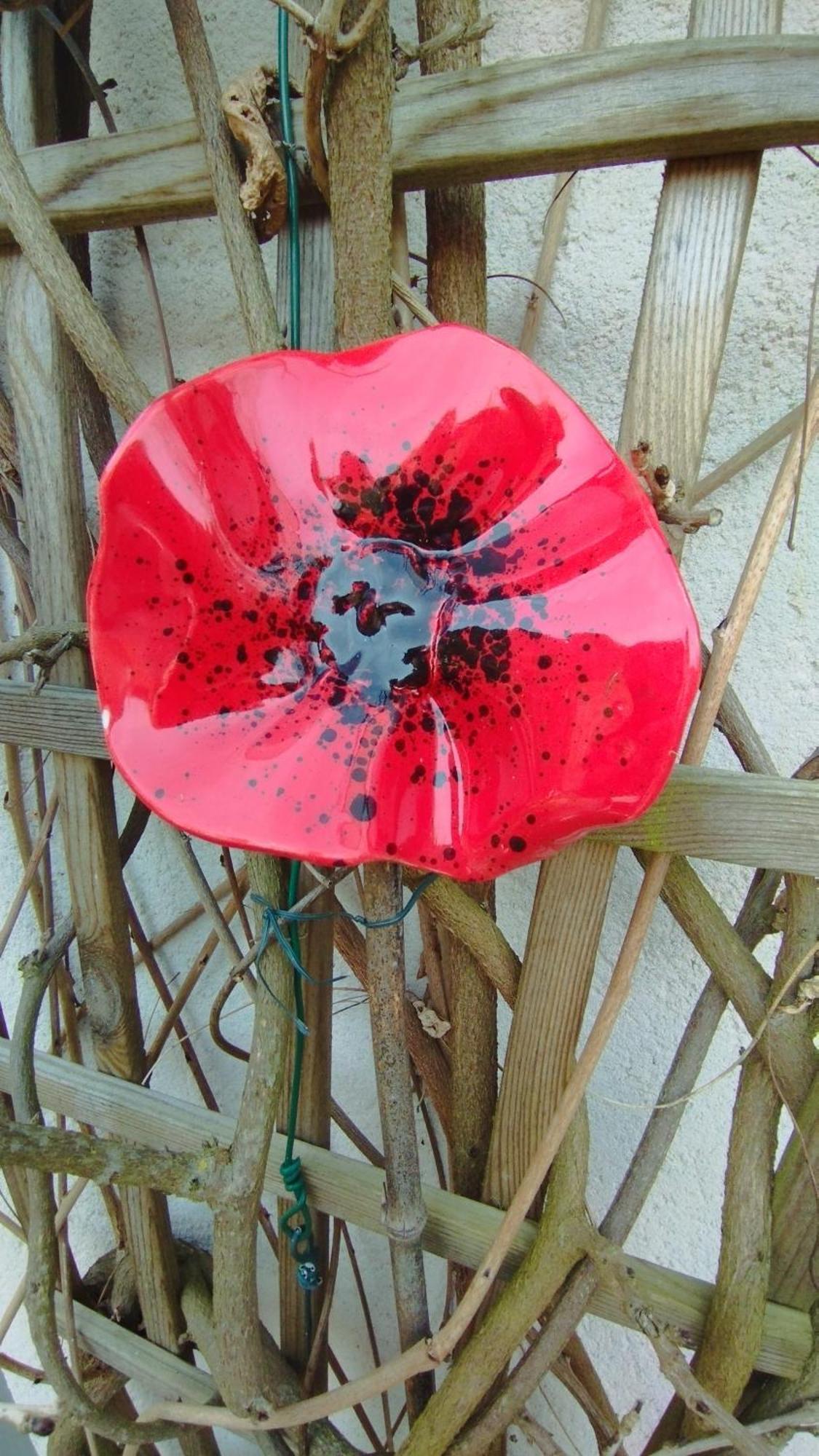 Studio Les Coquelicots Saint-Romain-sur-Cher Экстерьер фото